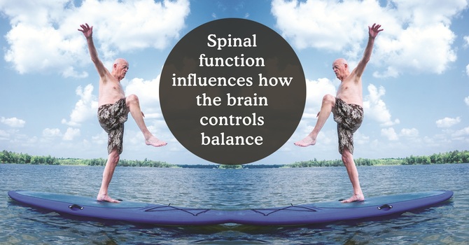 General Chiropractic (Wellness & Pain Relief)