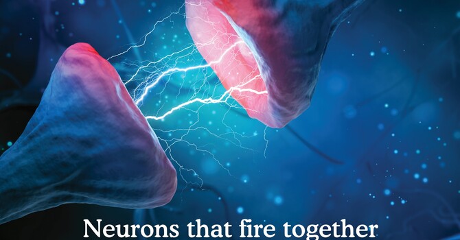Auto Injury Treatment