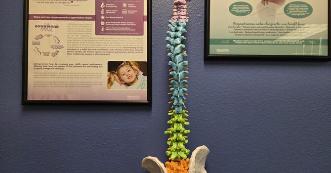 General Chiropractic (Wellness & Pain Relief)